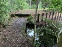 IMG_2953.jpeg
