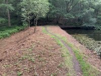 IMG_2955.jpeg