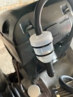 IMG_1779.jpeg