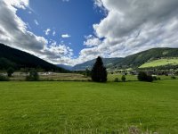 IMG_4829.jpeg
