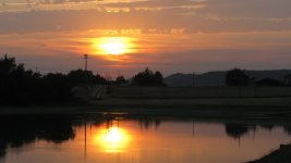 IMG_0943.JPG