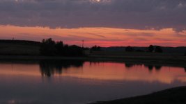 IMG_0945.JPG