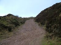 DSCF0171.JPG