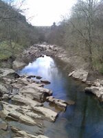 10042007165.jpg