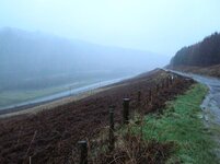DSCN3378A.jpg