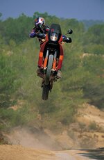 950_fly.jpg