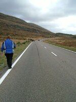 DSCF1111a.jpg