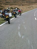 DSCF1113a.jpg