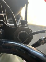 IMG_2077.jpeg IMG_2077.jpeg