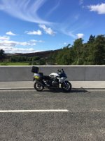 IMG_3780.jpeg IMG_3780.jpeg