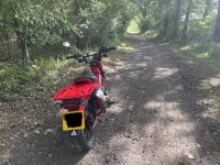 IMG_3847.jpeg