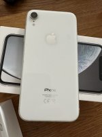 IMG_0012.jpeg