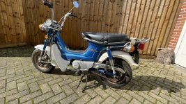 IMG_3949.jpeg