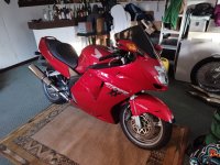 IMG_20230929_172648.jpg