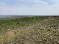 IMG_2480.jpeg