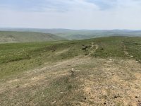 IMG_2477.jpeg