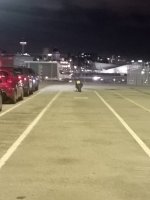 IMG_20231006_205147.jpg