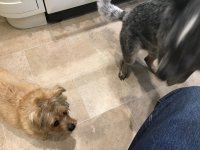 9685B04E-626C-41DA-A932-BDE02B1A41BF.jpeg