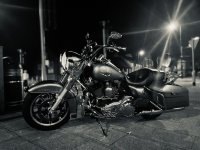 IMG_2281.jpeg