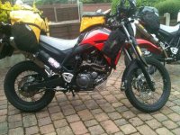IMG_1483.jpeg