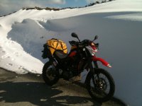 IMG_1427.jpeg