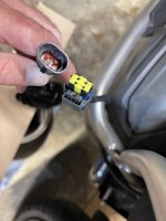 IMG_1987.jpeg