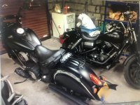 IMG_3391.jpeg