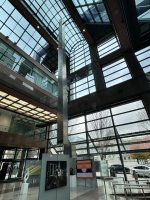 IMG_7681.jpeg