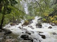 IMG_7880.jpeg