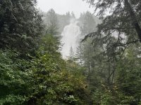 IMG_7879.jpeg
