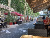 IMG_6998.jpeg