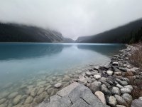 IMG_8267.jpeg
