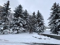 IMG_8353.jpeg