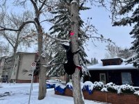 IMG_8367.jpeg