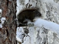 IMG_8436.jpeg