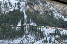IMG_2229.jpeg