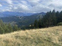 IMG_6138.jpeg