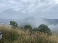IMG_6056.jpeg