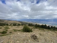 IMG_6076.jpeg