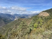 IMG_6099.jpeg