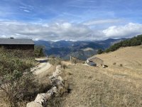 IMG_6100.jpeg