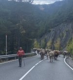 IMG_6128.jpeg