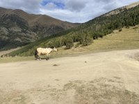 IMG_6143.jpeg