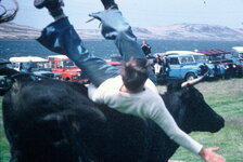 bull riding.JPG