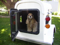 wags_w_dog.jpg