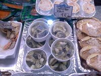 The Little Eel Eater from Kingston ..jpg