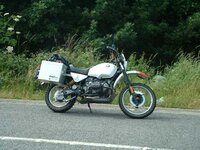 Pig on way home.jpg