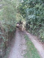 lane postable.jpg