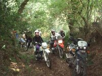 off road 4 Johnny Boxer.jpg