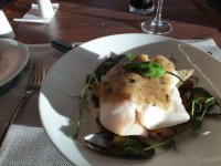 halibut.jpg halibut.jpg